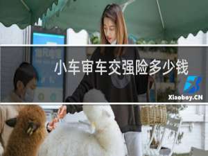 小车审车交强险多少钱