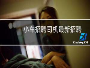 小车招聘司机最新招聘