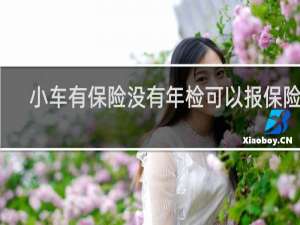 小车有保险没有年检可以报保险吗