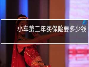 小车第二年买保险要多少钱