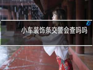 小车装饰条交警会查吗吗