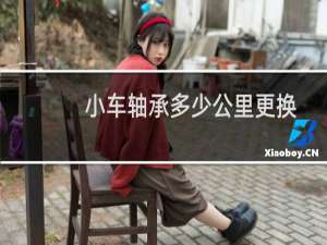 小车轴承多少公里更换