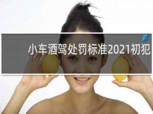 小车酒驾处罚标准2021初犯