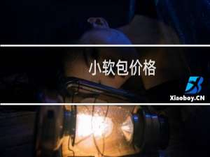 小软包价格