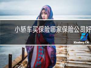 小轿车买保险哪家保险公司好
