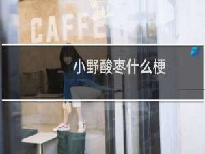 小野酸枣什么梗