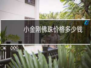 小金刚佛珠价格多少钱