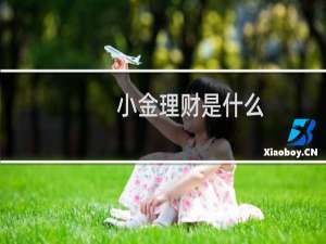 小金理财是什么