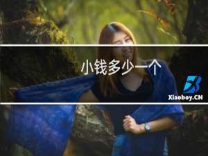 小钱多少一个