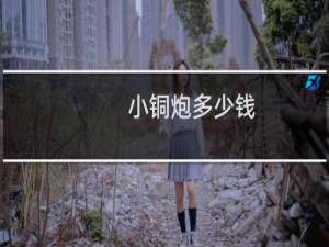 小铜炮多少钱