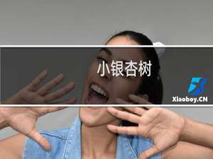 小银杏树