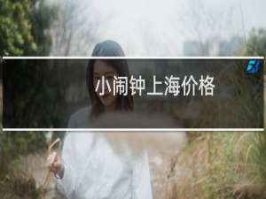小闹钟上海价格