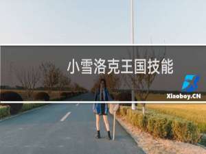 小雪洛克王国技能