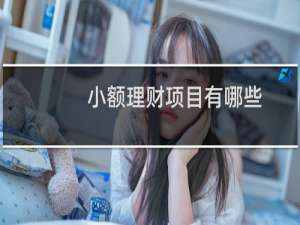 小额理财项目有哪些