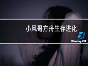 小风哥方舟生存进化
