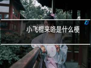 小飞棍来咯是什么梗？什么梗