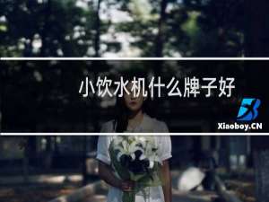 小饮水机什么牌子好