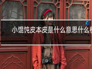 小馄饨皮本皮是什么意思什么梗