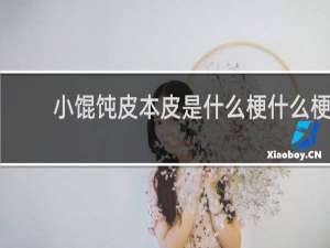 小馄饨皮本皮是什么梗什么梗