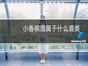 小香槟酒属于什么酒类