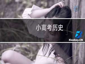 小高考历史