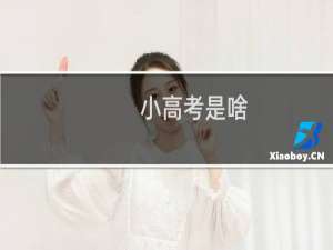 小高考是啥