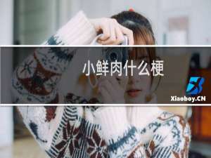 小鲜肉什么梗