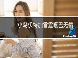 小鸟伏特加雷霆嘎巴无情哈拉少是什么意思