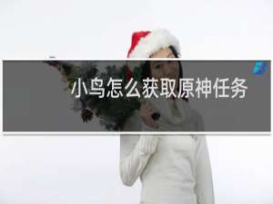 小鸟怎么获取原神任务