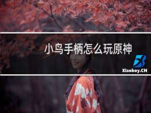 小鸟手柄怎么玩原神