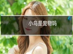 小鸟是宠物吗