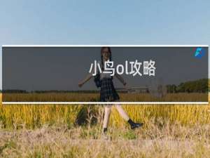 小鸟ol攻略