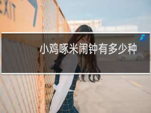 小鸡啄米闹钟有多少种