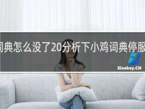 小鸡词典怎么没了 分析下小鸡词典停服原因什么梗