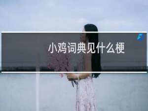 小鸡词典见什么梗