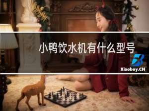小鸭饮水机有什么型号