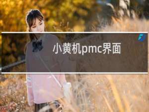 小黄机pmc界面