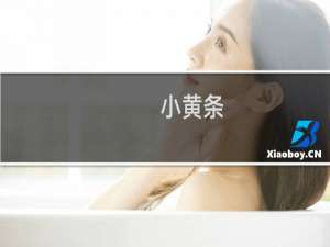 【小黄条】免费小黄条软件下载