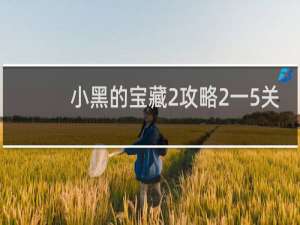 小黑的宝藏2攻略2一5关