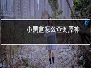 小黑盒怎么查询原神