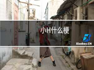 小H什么梗