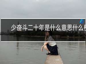 少奋斗二十年是什么意思什么梗