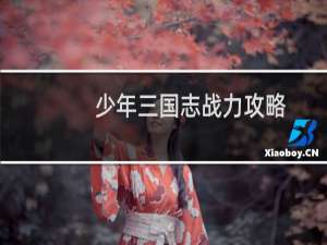 少年三国志战力攻略