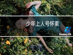 少年上人号怀素