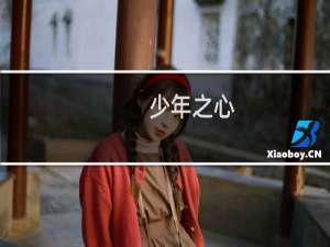 少年之心