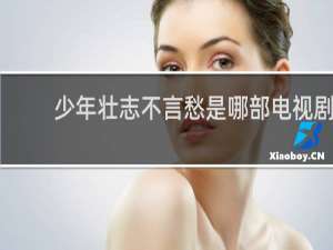 少年壮志不言愁是哪部电视剧