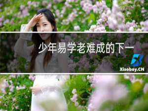 少年易学老难成的下一句