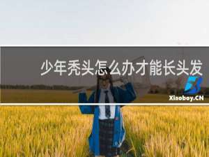少年秃头怎么办才能长头发