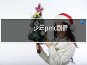 少年pmc剧情