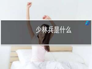少林兵是什么